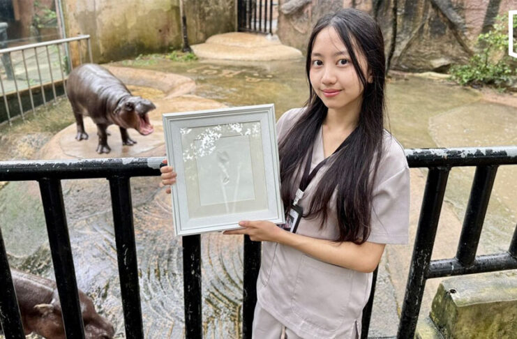 Khao Kheow Open Zoo unveils limited Moo Deng tail print keepsake Khao Kheow Open Zoo unveils limited Moo Deng tail print keepsake