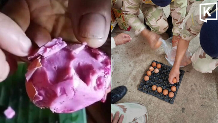 Health warning issued after pink eggs found in Mae Sariang