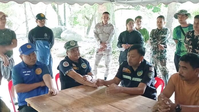 ป1 8