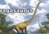 Thailand names new long-necked dinosaur from Kalasin