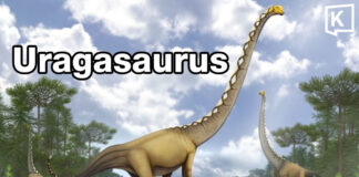 Thailand names new long-necked dinosaur from Kalasin