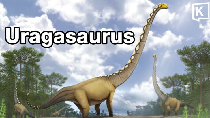 Thailand names new long-necked dinosaur from Kalasin