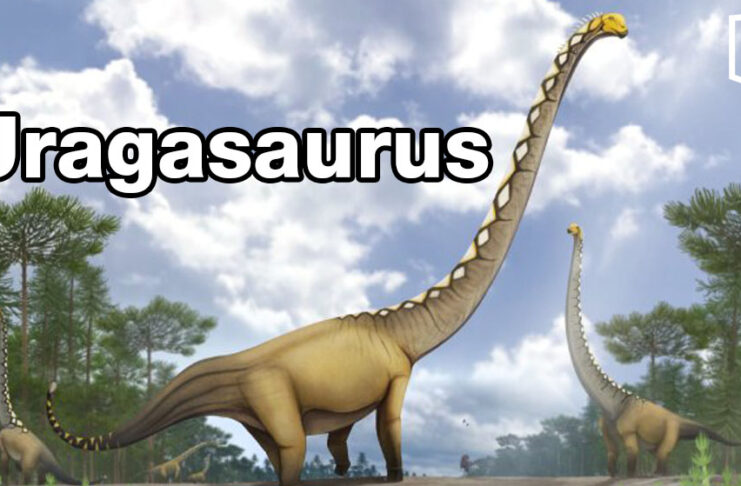 Thailand names new long-necked dinosaur from Kalasin