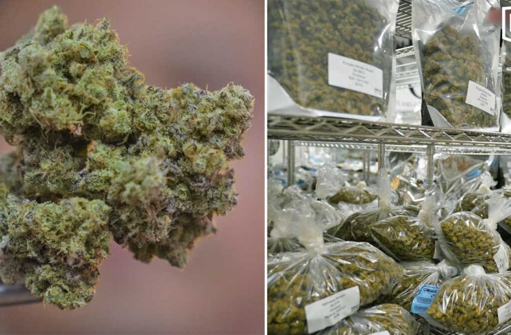 Indonesia arrests 12 over 3.37 tonnes of cannabis from Thailand