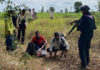 11 arrested after crossing border, fleeing alleged scam work 11 arrested after crossing border, fleeing alleged scam work
