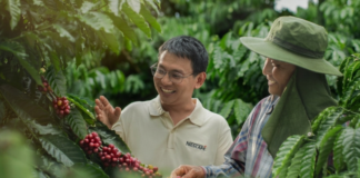 Nestlé to invest 23 billion baht in new Thailand coffee plant