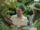 Nestlé to invest 23 billion baht in new Thailand coffee plant PAAAAA1BMVEWurq51dlI4AAAAAXRSTlMmkutdmwAAAA5JREFUKM9jGAWjYJABAAKUAAHoEAeuAAAAAElFTkSuQmCC