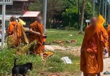 8 monks killed, 13 injured after pickup truck ploughs into pilgrimage in Mukdahan