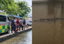 Student admits creating AI crocodile photo that sparked school panic