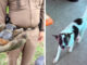 Dog mistakes live grenade for toy, carries it into family home Dog mistakes live grenade for toy, carries it into family home