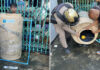 Drunk man rescued after falling asleep in water tank Drunk man rescued after falling asleep in water tank