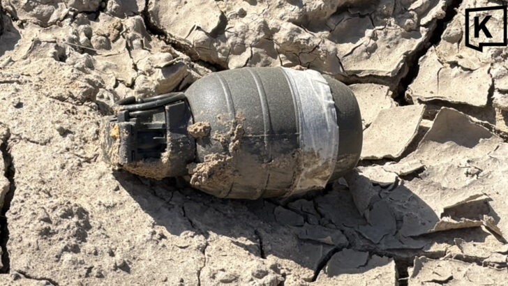 EOD team called after grenade-like object found roadside