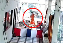 Ex-monk charged after admitting to beating temple puppy in Nakhon Sawan Ex-monk charged after admitting to beating temple puppy in Nakhon Sawan