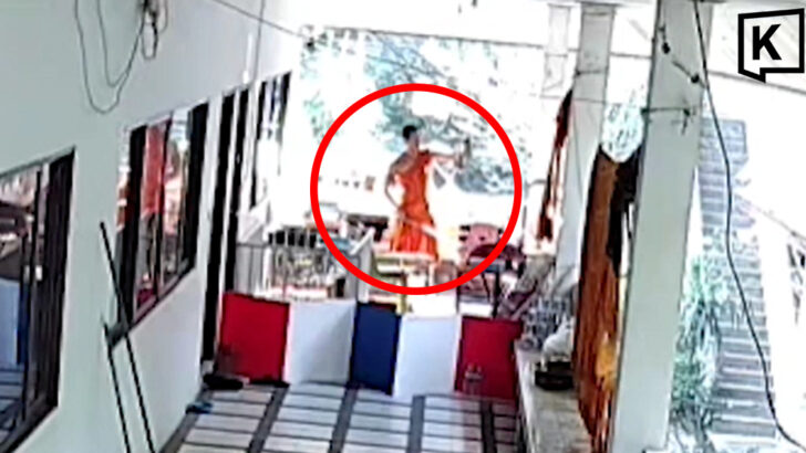 Ex-monk charged after admitting to beating temple puppy in Nakhon Sawan