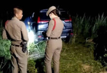 Mystery woman sends GPS coordinates, saving missing driver in deep forest Mystery woman sends GPS coordinates, saving missing driver in deep forest