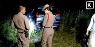 Mystery woman sends GPS coordinates, saving missing driver in deep forest Mystery woman sends GPS coordinates, saving missing driver in deep forest