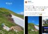 Thai travel influencer sparks outrage in Japan after rolling on protected mountain flowers
