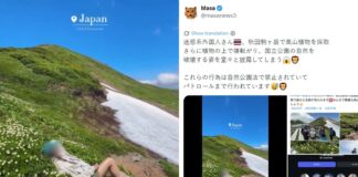Thai travel influencer sparks outrage in Japan after rolling on protected mountain flowers