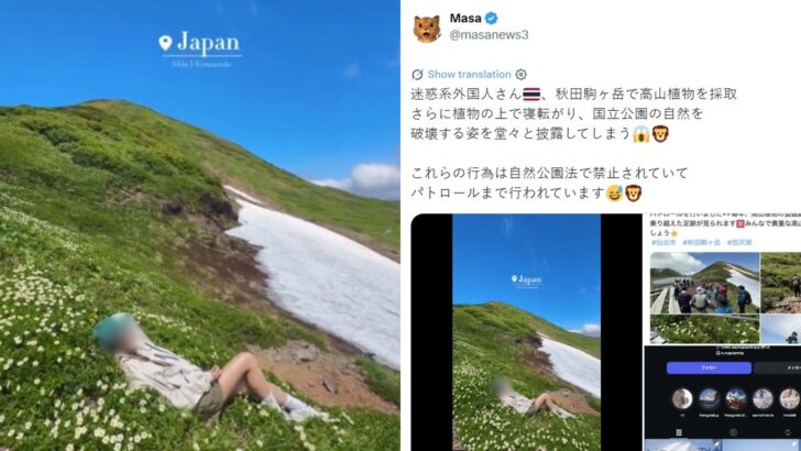 Thai travel influencer sparks outrage in Japan after rolling on protected mountain flowers