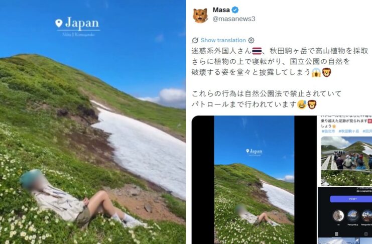 Thai travel influencer sparks outrage in Japan after rolling on protected mountain flowers