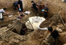 One-ton soil block to preserve 2,000-year-old skeletons