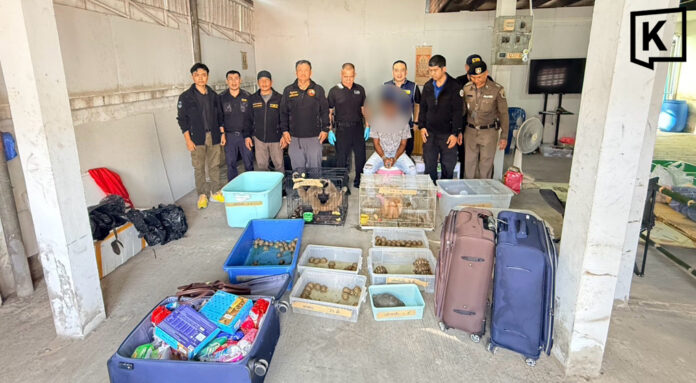 Police arrest four Indians in wildlife trafficking crackdown Police arrest four Indians in wildlife trafficking crackdown