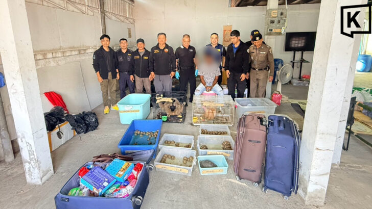 Police arrest four Indians in wildlife trafficking crackdown