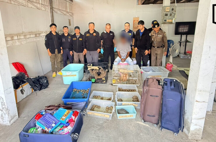 Police arrest four Indians in wildlife trafficking crackdown Police arrest four Indians in wildlife trafficking crackdown