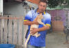 Rescuers perform CPR to save cat hit by pickup, reviving it against the odds Rescuers perform CPR to save cat hit by pickup, reviving it against the odds