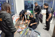 Russian arrested with 17kg of cannabis at Phuket airport Russian arrested with 17kg of cannabis at Phuket airport