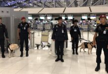 K-9 dogs begin screening outbound passengers after Australia raises security concerns