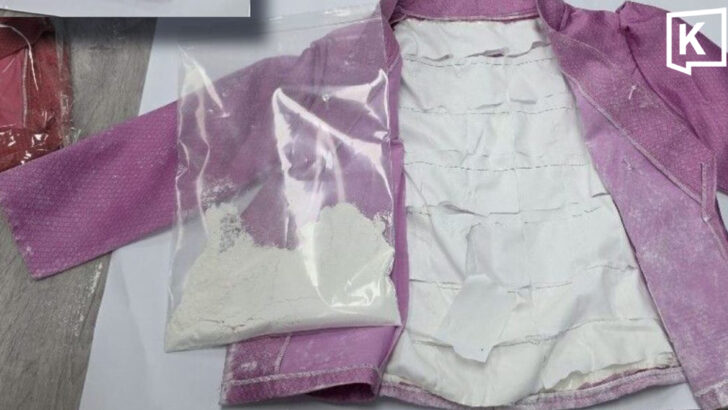 Silk shirts used to hide heroin in overseas parcel plot