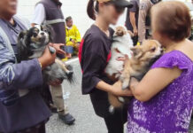 Three dogs rescued after e-bike causes house fire
