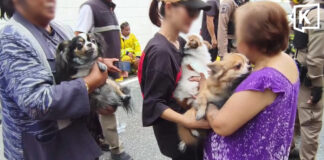 Three dogs rescued after e-bike causes house fire