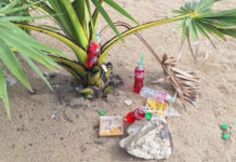 Tourists apologise after taking offering coconut in Pattaya Tourists apologise after taking offering coconut in Pattaya
