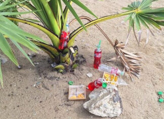 Tourists apologise after taking offering coconut in Pattaya Tourists apologise after taking offering coconut in Pattaya