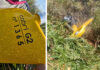 Training helicopter crashes in Bang Pu, two escape safely Training helicopter crashes in Bang Pu, two escape safely