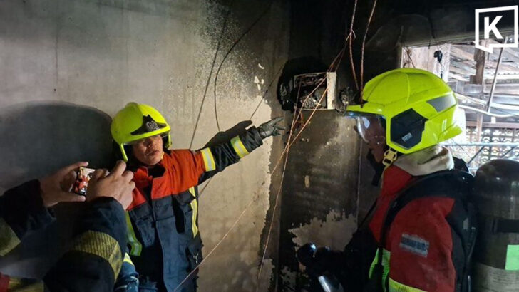 Two found dead, more than 30 cats killed in Bangkok house fire