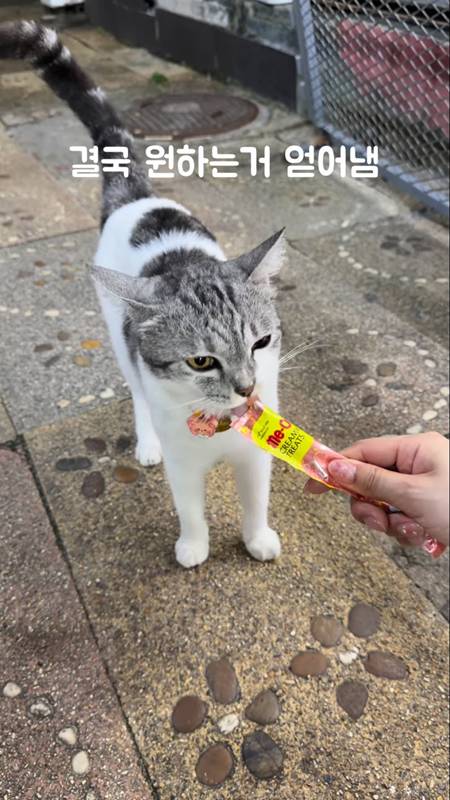 cat 5 003 0