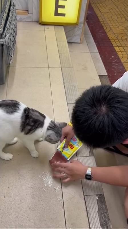 cat 9 007 0