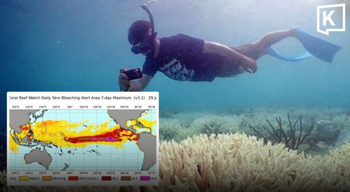 coral_headline_0 Purple alert as rising sea temperatures signal imminent coral bleaching crisis