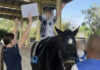 Teen equestrian champion brings AI to hippotherapy for disabled children