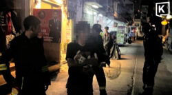 Bangkok firefighters rescue fat cat afraid of heights