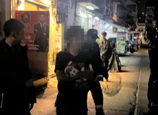 Bangkok firefighters rescue fat cat afraid of heights Bangkok firefighters rescue fat cat afraid of heights