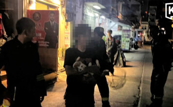 Bangkok firefighters rescue fat cat afraid of heights Bangkok firefighters rescue fat cat afraid of heights