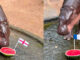 Moo Deng picks France and England for World Cup final Moo Deng picks France and England for World Cup final