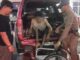 Cambodian beggars detained in Pattaya crackdown after viral child-begging video PAAAAA1BMVEWurq51dlI4AAAAAXRSTlMmkutdmwAAAA5JREFUKM9jGAWjYJABAAKUAAHoEAeuAAAAAElFTkSuQmCC