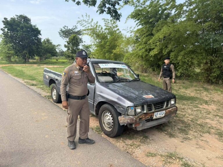 news147478 3ALdP8v5Hu1784179860