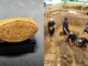 What a 2,000-year-old burial site reveals about ancient Phetchaburi PAAAAA1BMVEWurq51dlI4AAAAAXRSTlMmkutdmwAAAA5JREFUKM9jGAWjYJABAAKUAAHoEAeuAAAAAElFTkSuQmCC