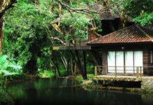 Thailand named Asia’s top retirement destination in 2026 global index Thailand named Asia's top retirement destination in 2026 global index